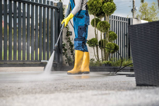 Best Fence Cleaning  in Lexington, MO